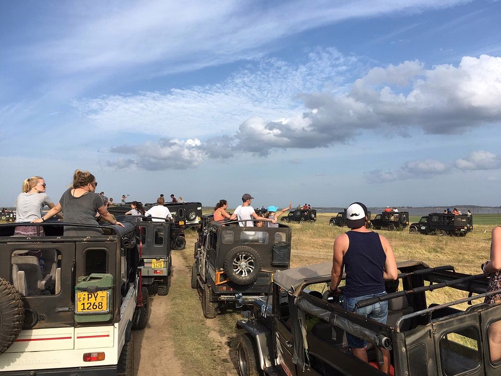 Safari landscape view at Kaudulla